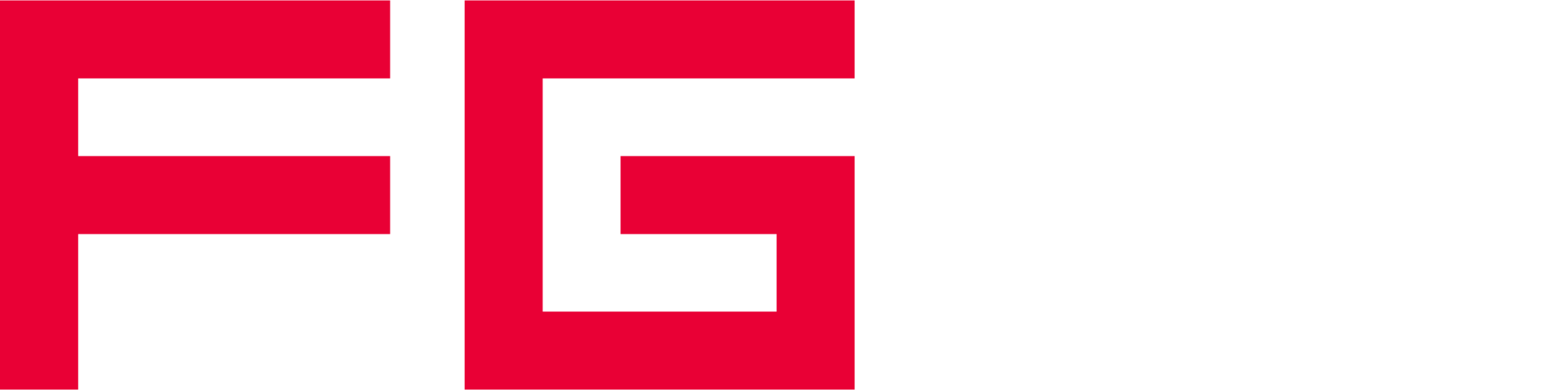 FG Real Estate Development